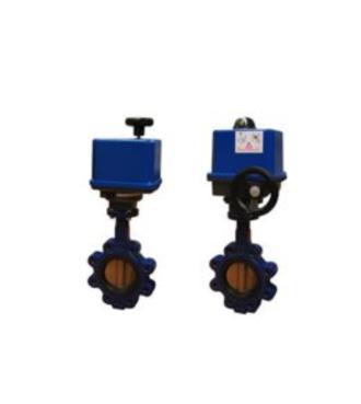 Product_Industrial Valves With Electric Actuators